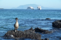 Galapagos Islands Cruises