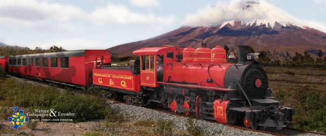 tren-crucero-steam-locomotive-near-cotopaxi-volcano